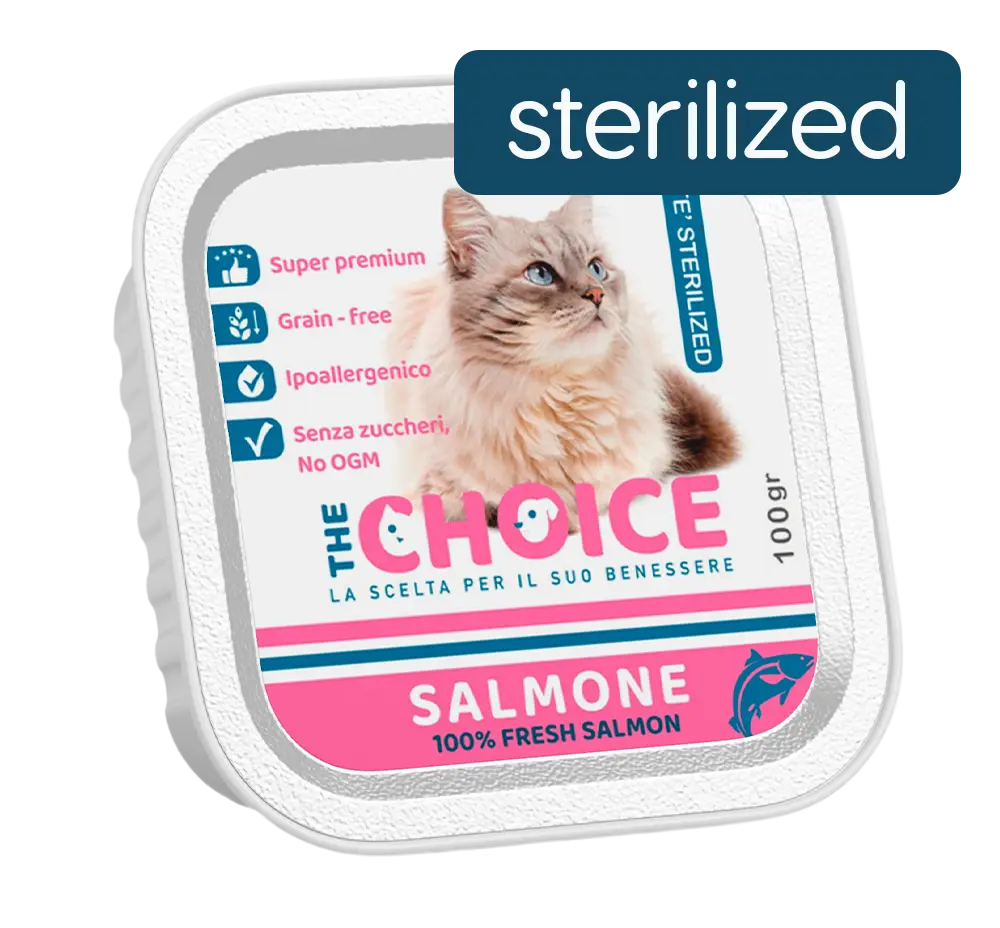 Salmone